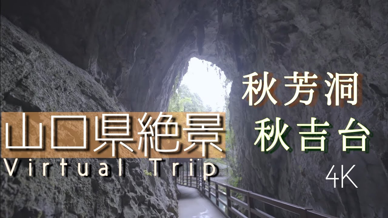 【山口県絶景】秋芳洞 秋吉台 弁天池 4K