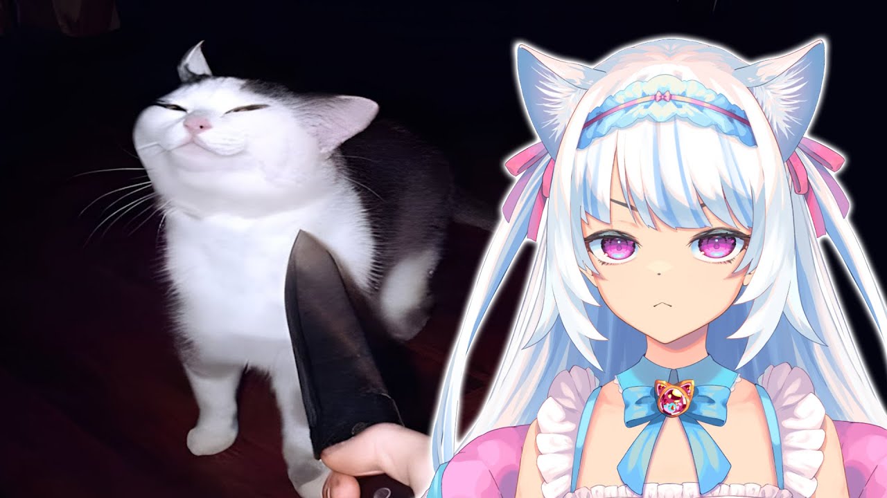 Cats Who Woke Up and Chose Violence | Milky Mew reacts to Cat Memes