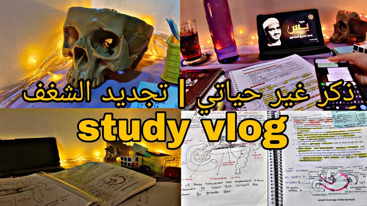 استعادة الشغف للمذاكرة |vlog 01 