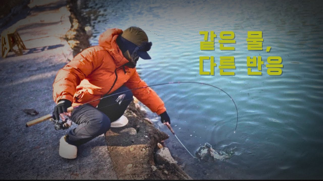 하이드람 송어낚시, 다른 결과