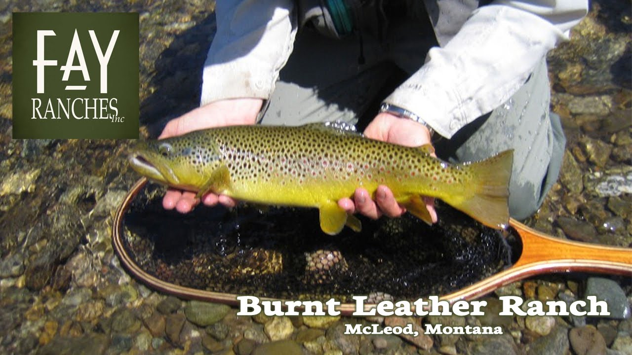 SOLD | McCleod, Montana | Fly Fishing on the West Boulder River | Burnt Leather Ranch