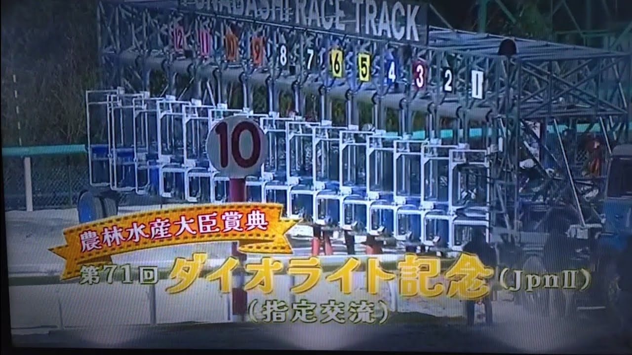 2026/3/11 船橋競馬11R 第71回ダイオライト記念(Jpn2)【3連覇へセラフィックコール、巻き返し期すカズタンジャー・ナルカミ、兵庫最強オディロン等出走】