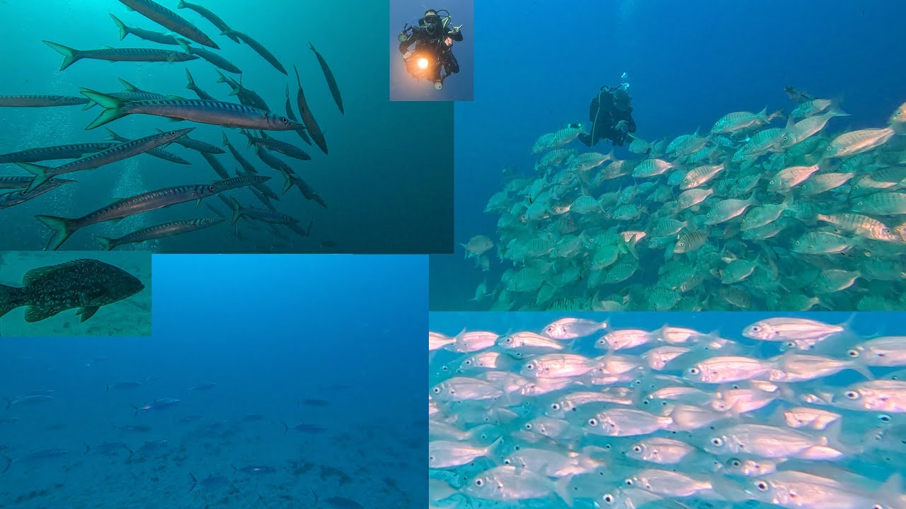 Buceo en El Bufadero, Los Cristianos 05-03-2023