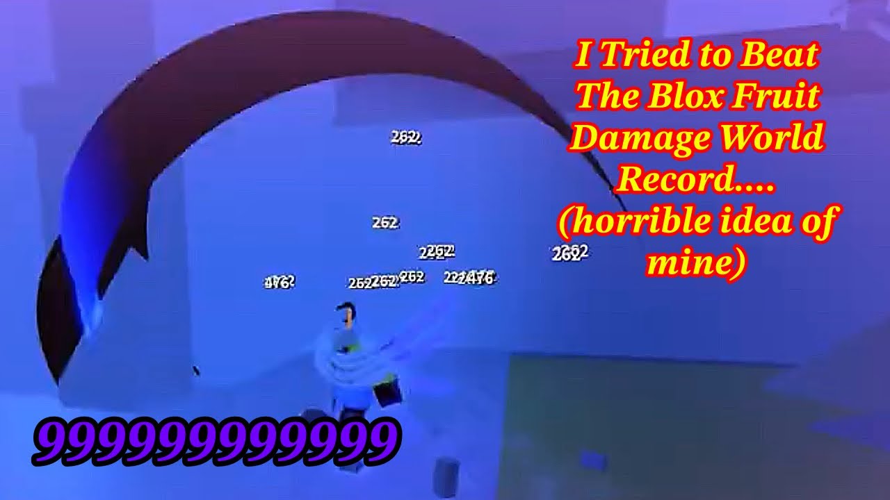 I Tried to Beat The Blox Fruit Damage World Record.... (horrible idea of mine)