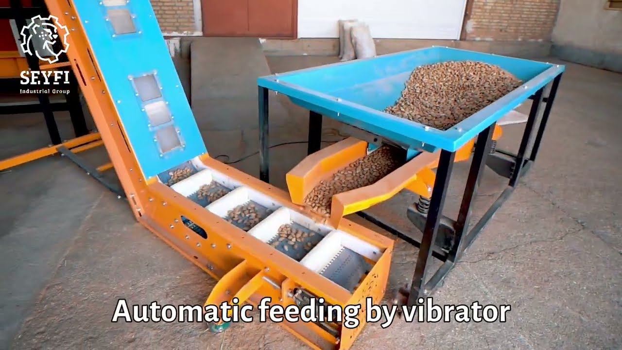 Seyfco Almond Processing line