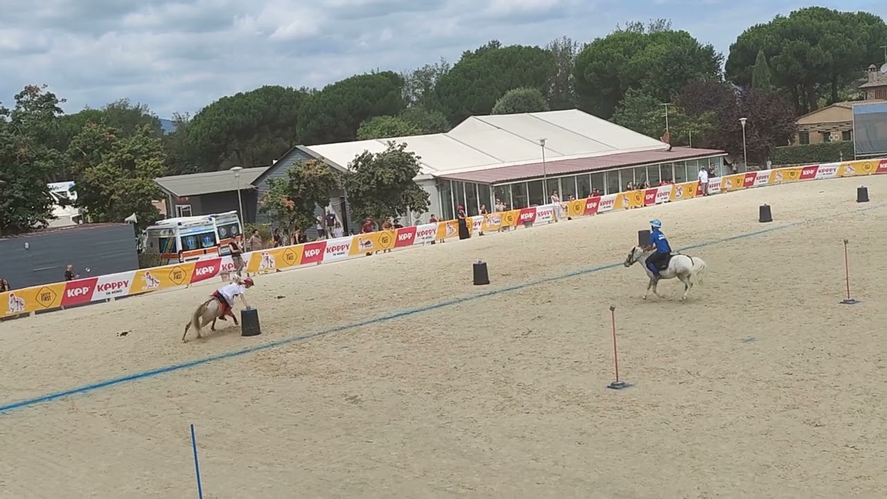 Ponyadi 2023 - Finale B2 pony games(2)