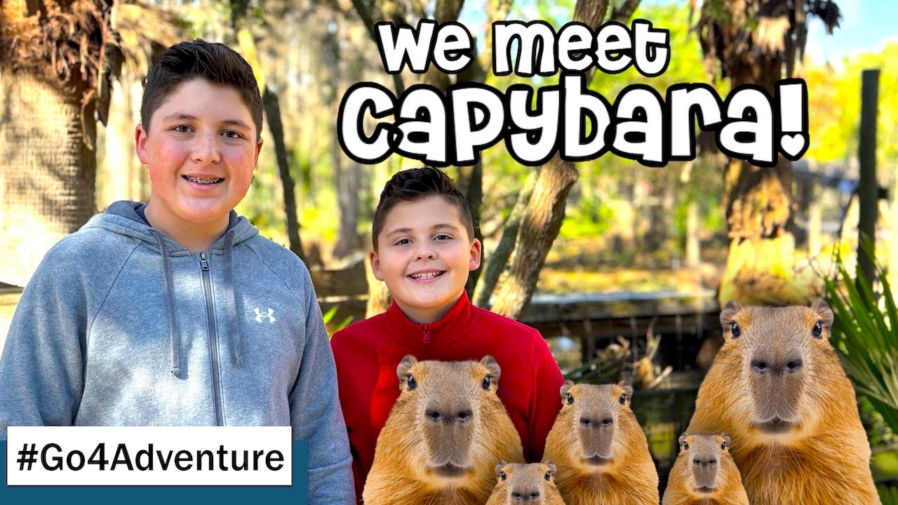 🐾 Feed Adorable Capybaras By Hand At Wild Florida!