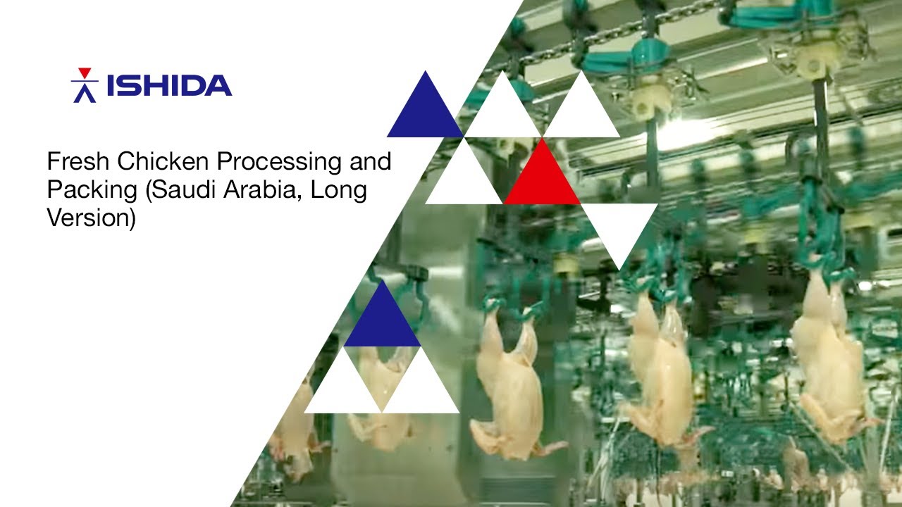Meyn-Ishida fresh chicken processing and packing, Saudi Arabia (LONG version)