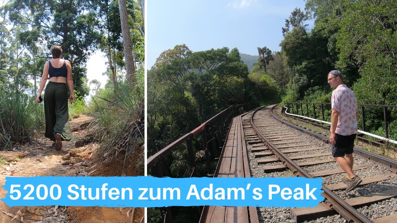#40 Wandern auf den Ellarock, durch Teeplantagen und 5200 Stufen zum Adam's Peak - Weltreise Vlog