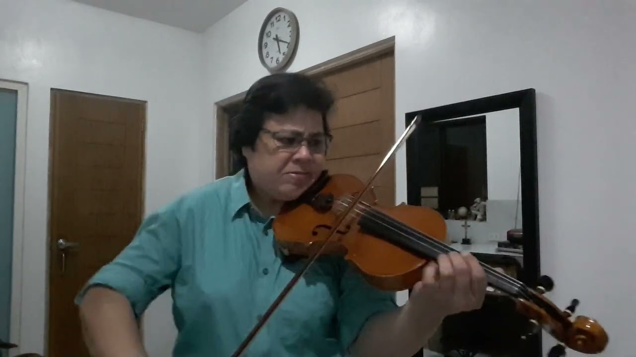 LOVE STORY by Francis Lai (Violin Cover)