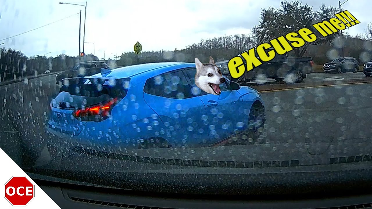 Daily Dashcam Observations 243 [Dashcam Europe + USA]