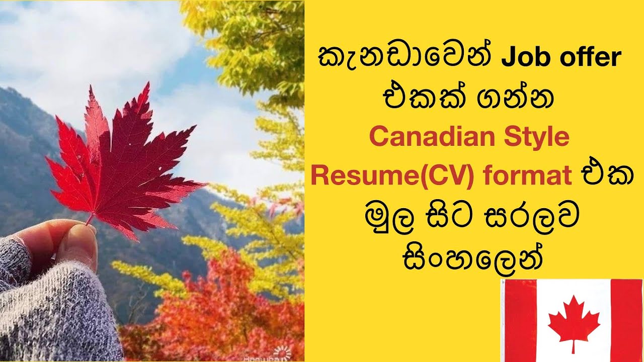 Canadian Style Resume(CV) format එක මුල සිට සරලව සිංහලෙන්  කැනඩාවෙන් job offer එකක් ගන්න