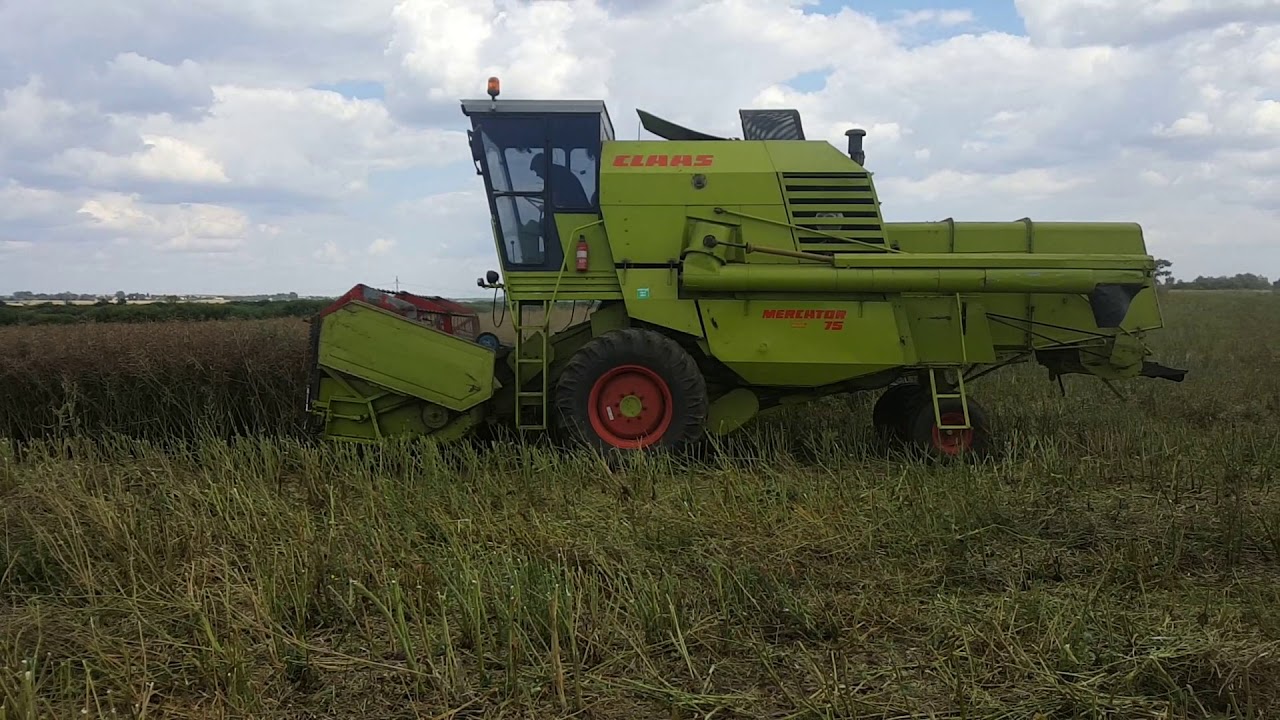 Claas mercator 75