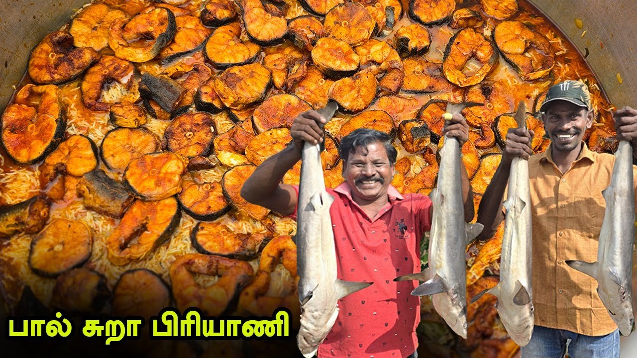 பால் சுறா மீன் பிரியாணி 🦈 💥 - மருத்துவ குணமிக்க பிரியாணி 🤩| How to make  Milk  Shark Briyani Recipe