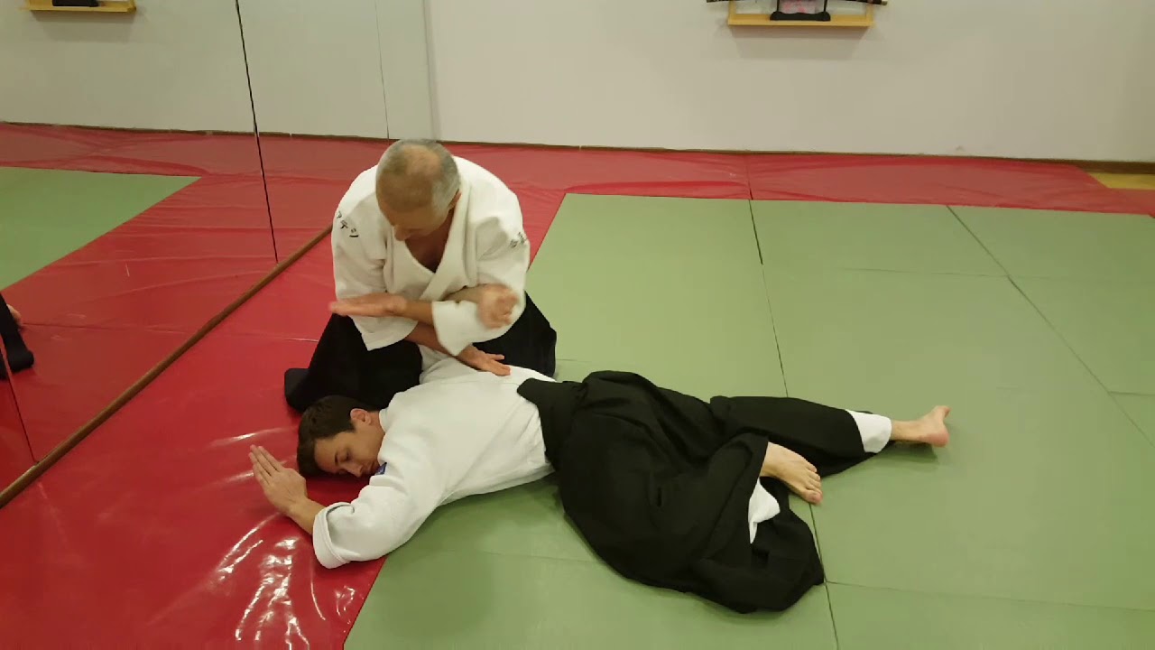 Aikido - 4.th Kyu Technics