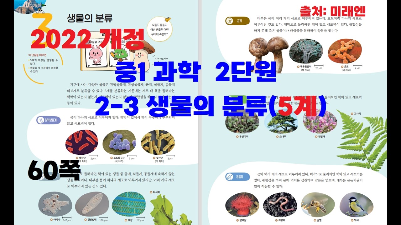 중1과학 2단원 2-3 생물분류(5계)