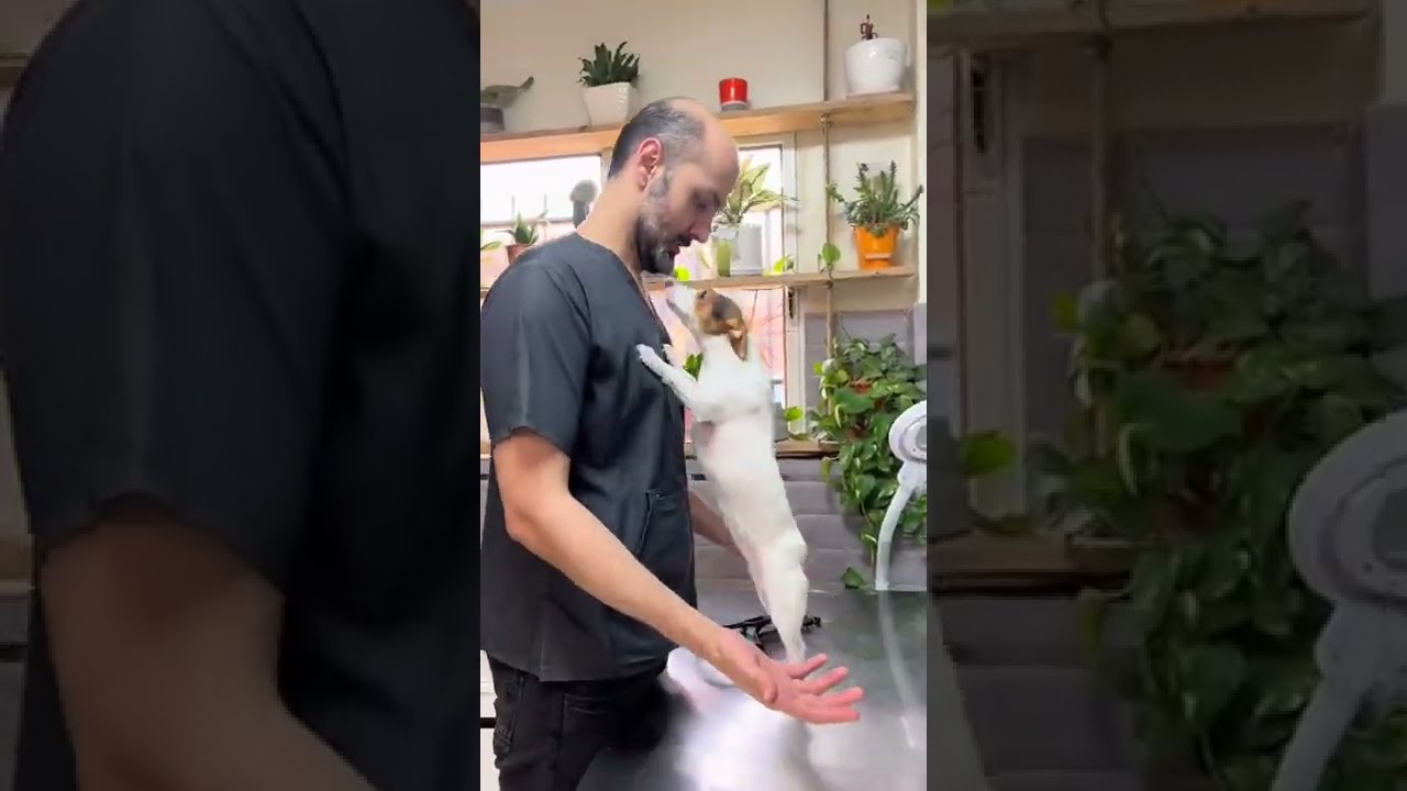 ملاقات با باربا این بچه عاشق منه منم البته عاشق اونم ❤️