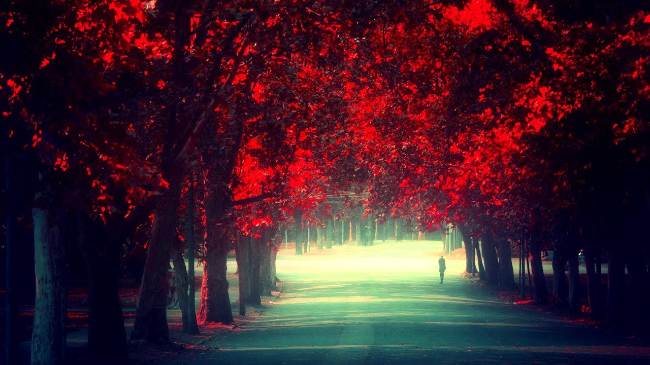 London Grammar - Sights (Monrroe. Remix)