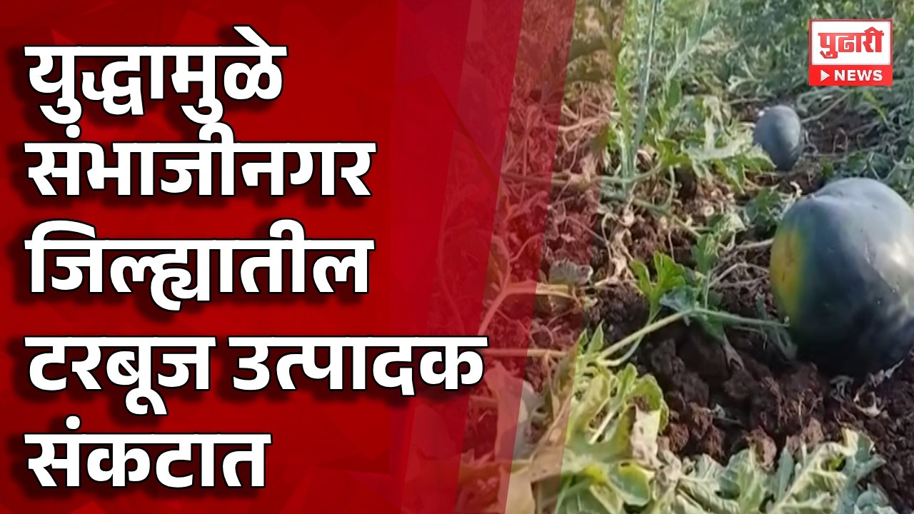 Pudhari News | युद्धामुळे संभाजीनगर जिल्ह्यातील टरबूज उत्पादक संकटात