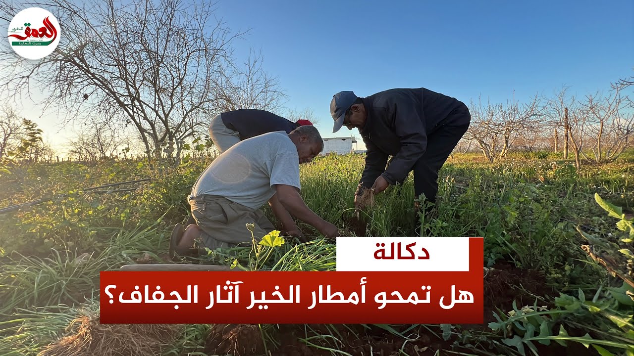 من الأمل إلى القلق.. فلاحو دكالة بين بشرى أمطار الخير وشبح  ديون أعوام الجفاف