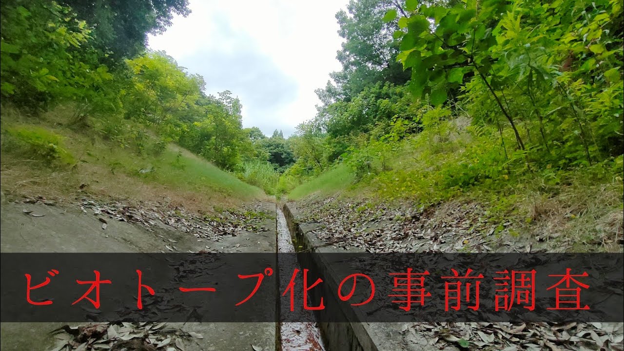 新ビオトープ作成の事前準備