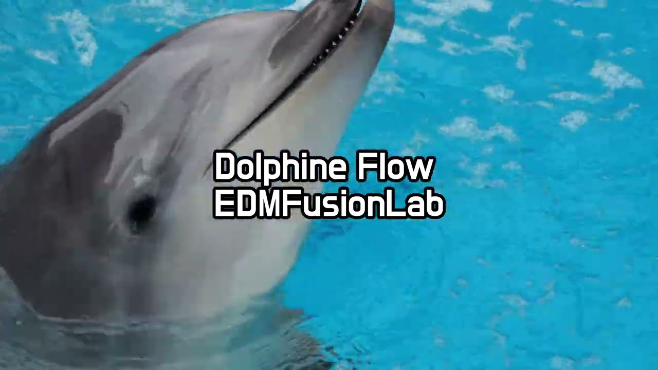 Dolphine Flow (Original Mix) - #Housemusic #tropicalhouse #dolphine  #guam #oceansounds