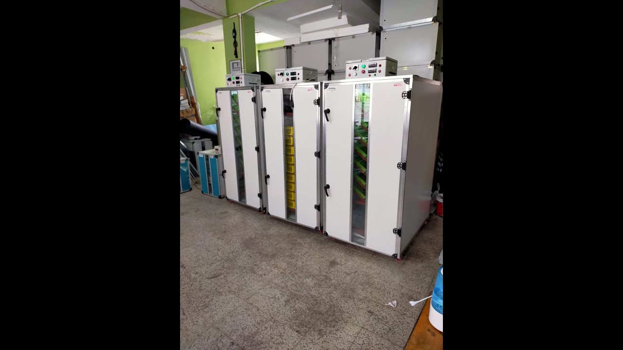 Evrensel kuluçka pro seri