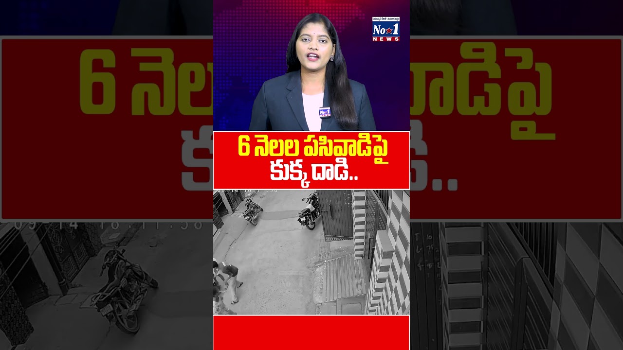 6 నెలల పసివాడిపై కుక్క దాడి |  #DogAttack #BabyAttack #InfantAttack | No.1 News Telugu
