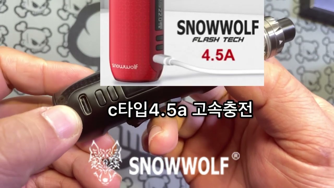초고속 충전 늑대 감성 K-FENG review