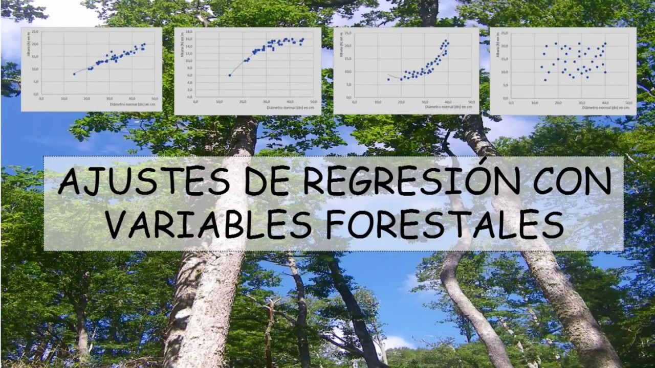 AJUSTES DE REGRESIÓN CON VARIABLES FORESTALES
