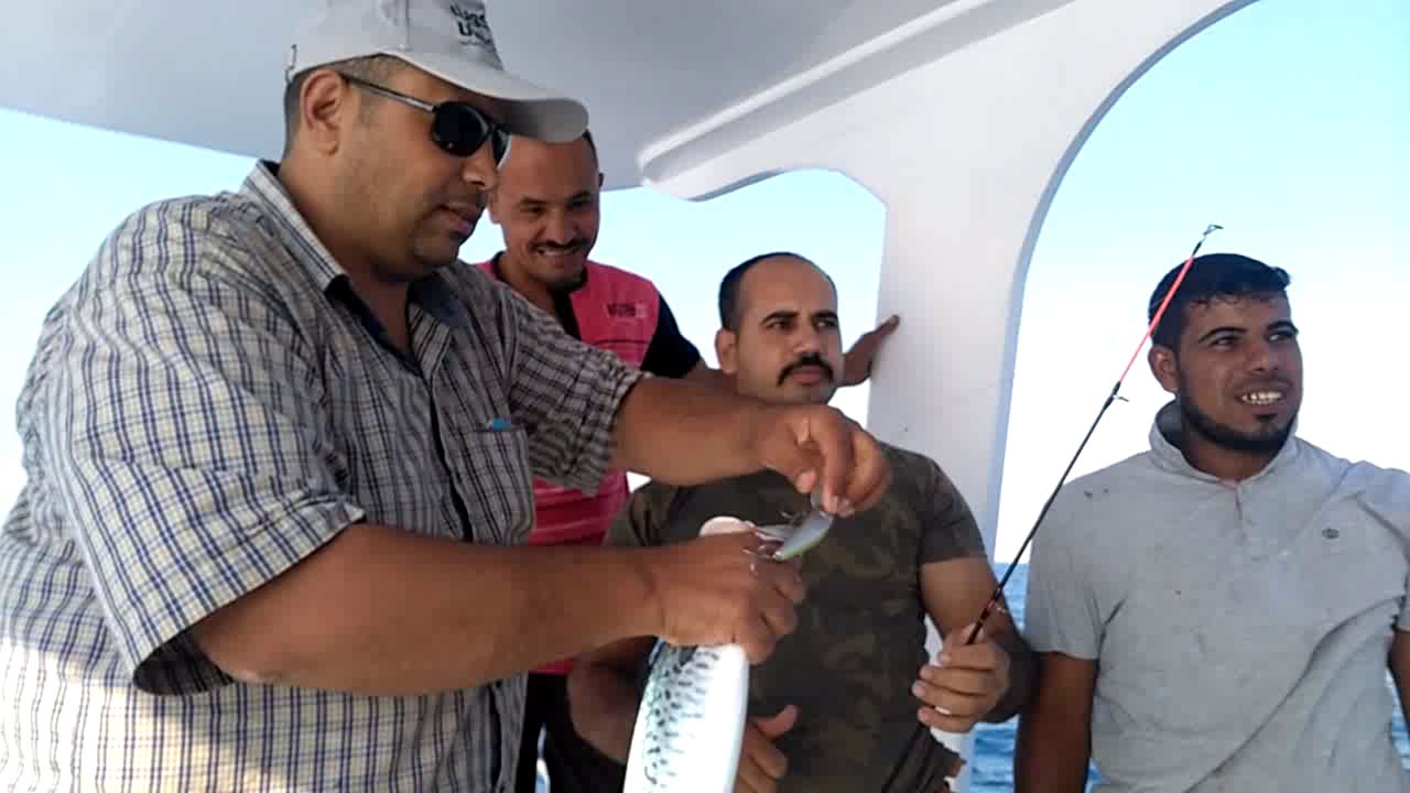 رحلة تسقيط السمك في العين السخنة وتابع عدد انواع سمك البحر