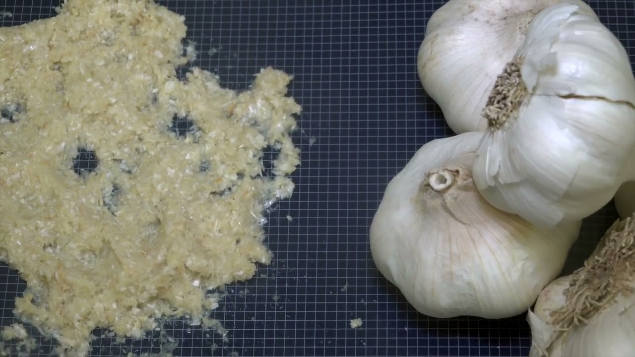 Comitrol® Processor Models 3640 into 1700 - Garlic