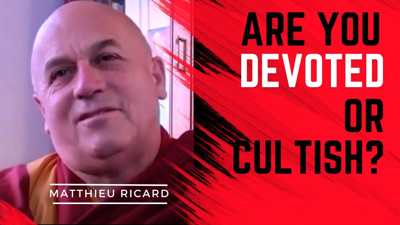 Is it Devoted or Cultish? Matthieu Ricard