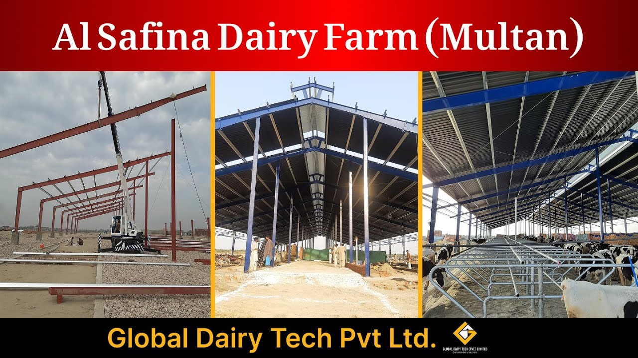 Al Safina Dairy Farm Multan Completed Project By Global Dairy Tech | Dairy Farming #farming