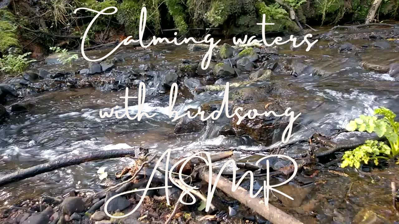 Calming Waters: With Birdsong - A Video To Relax To (ASMR)