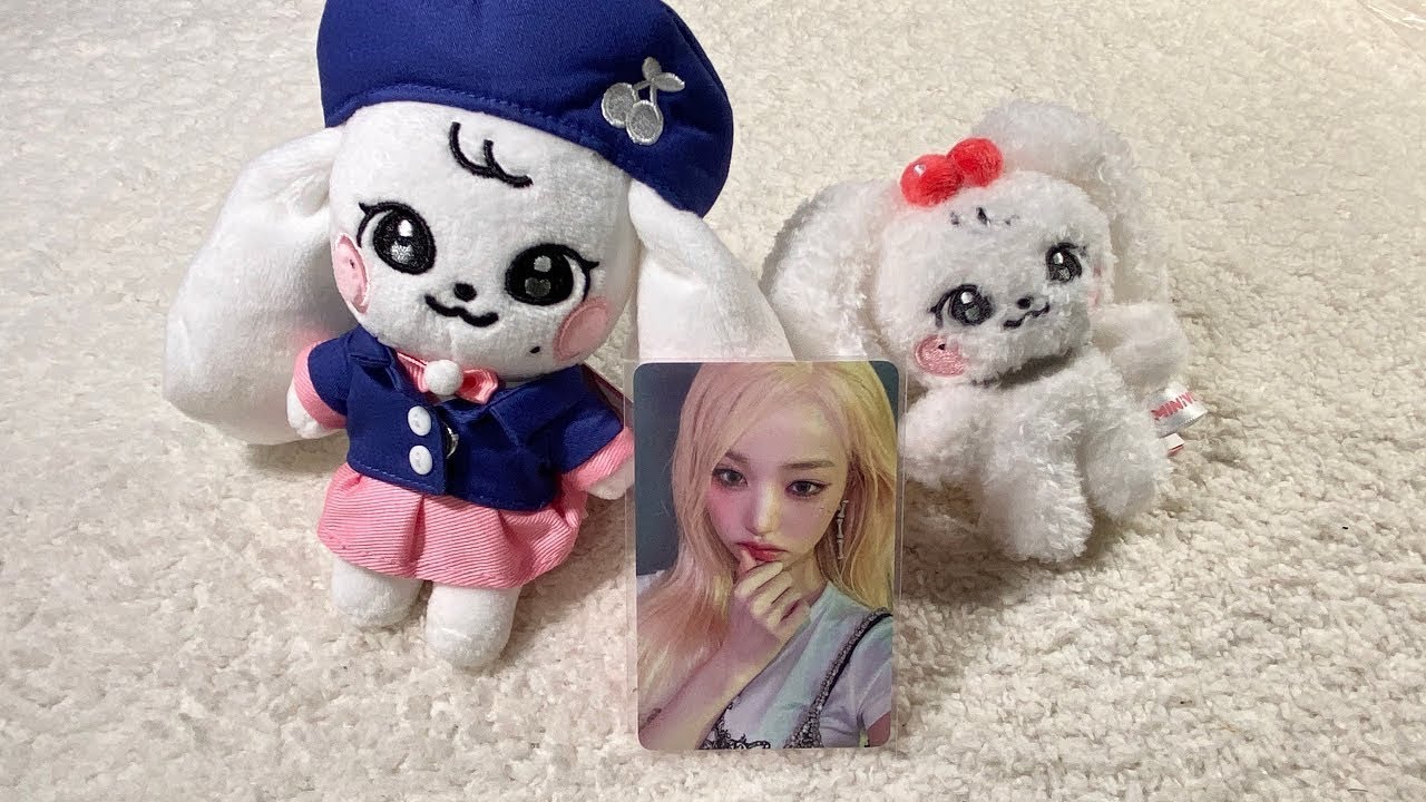 HAUL minive keyring CHERRY y photocard WONYOUNG 