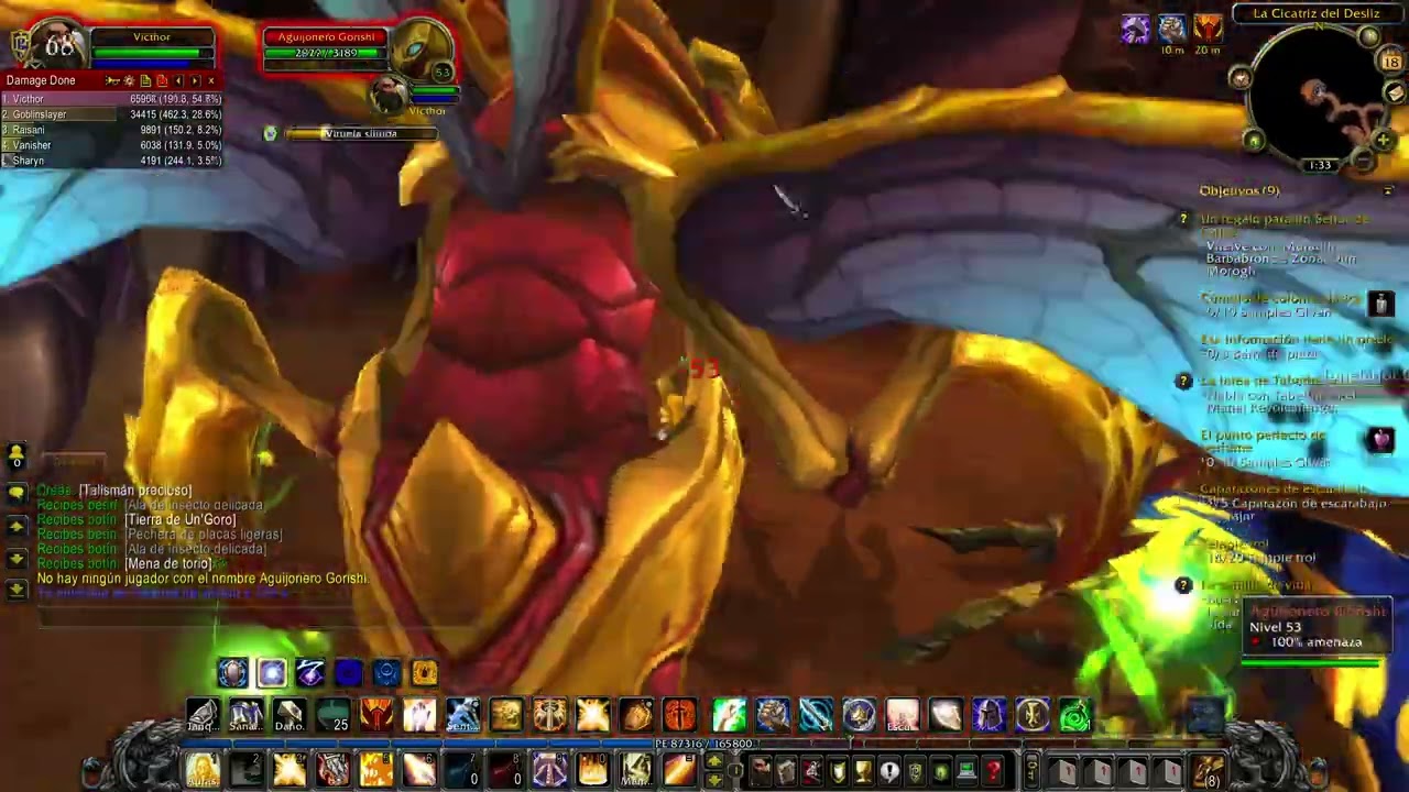 Paladín Shockadin. Leveo. WoW 3.3.5. Wow Patagonia. #15 Victhor.