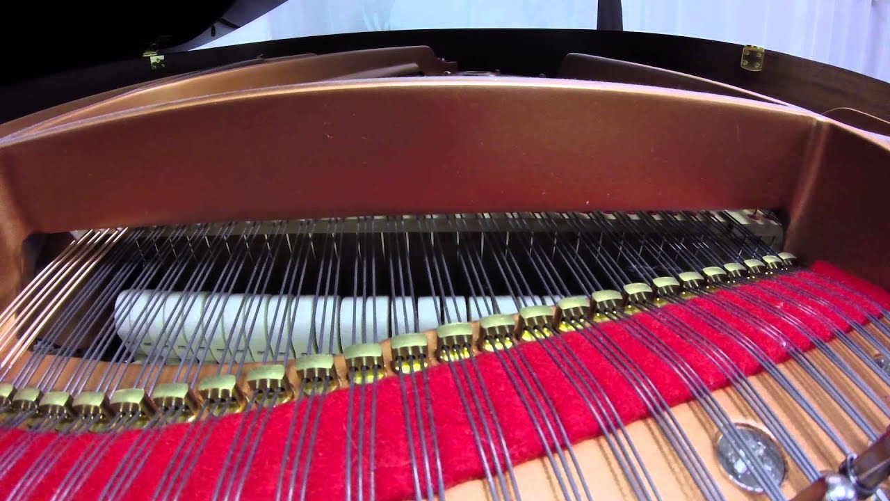 Inside a Grand Piano