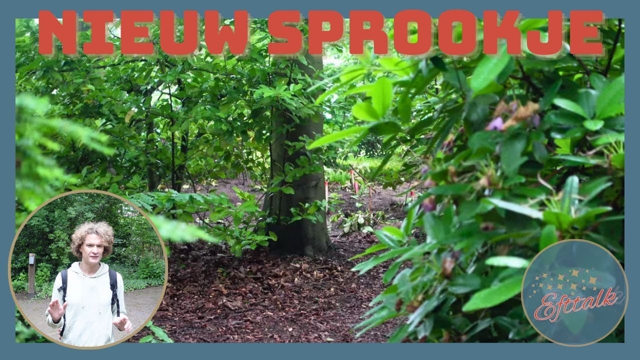 Locatie nieuw sprookje bekend! | EFTELING | Efttalk