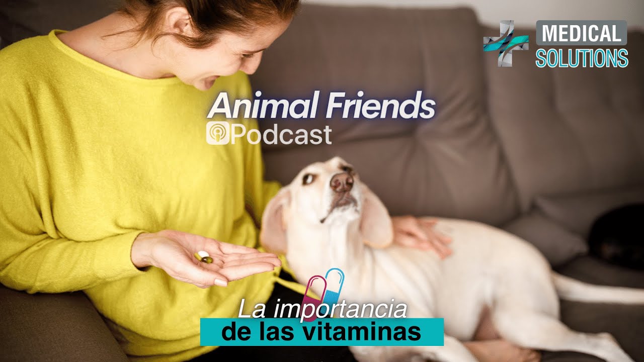 Animal Friends Podcast - 