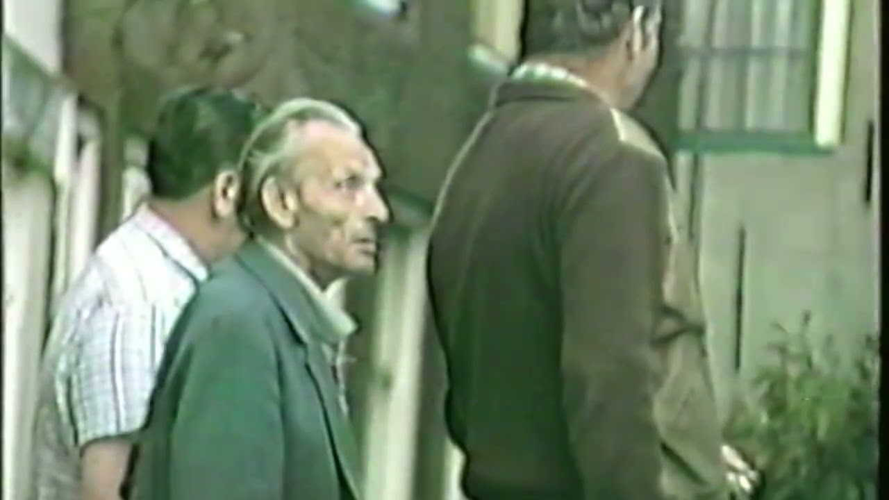 Ouddorp centrum bomen omzagen 1985