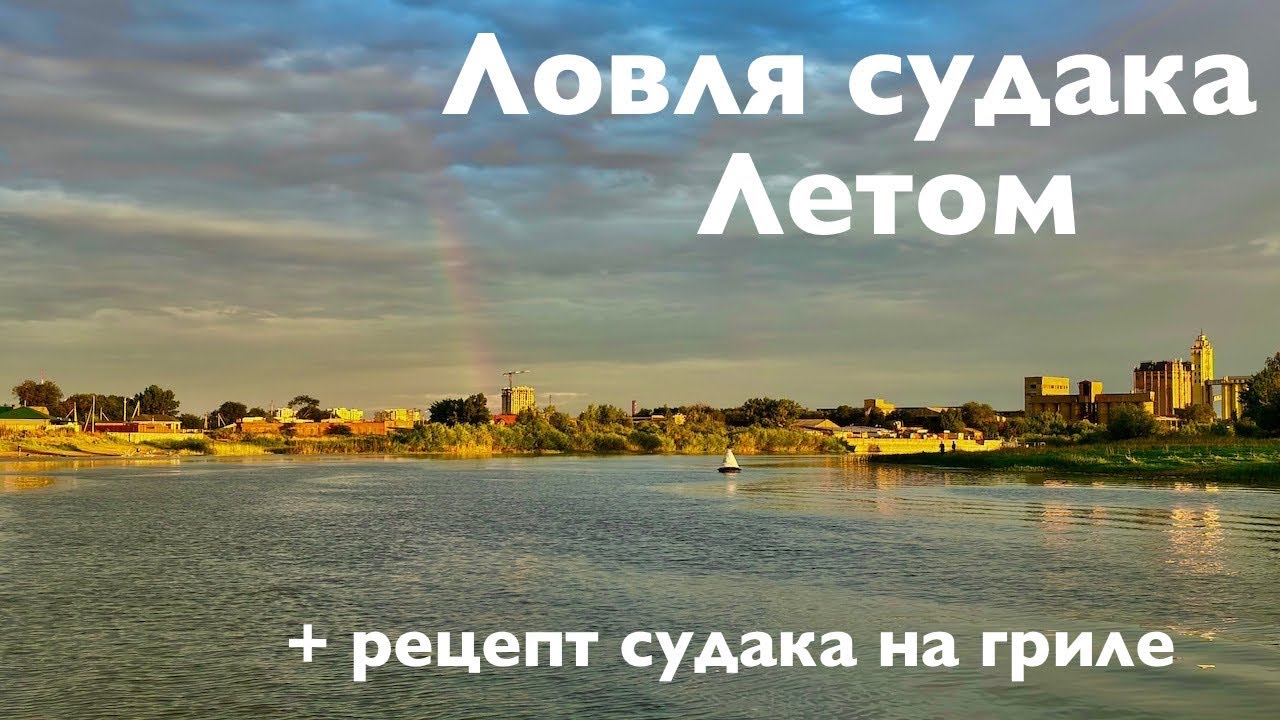 Ловля судака летом в жару. Рецепт судака на гриле. Zetrix Hellhound Dark Blood LSE .