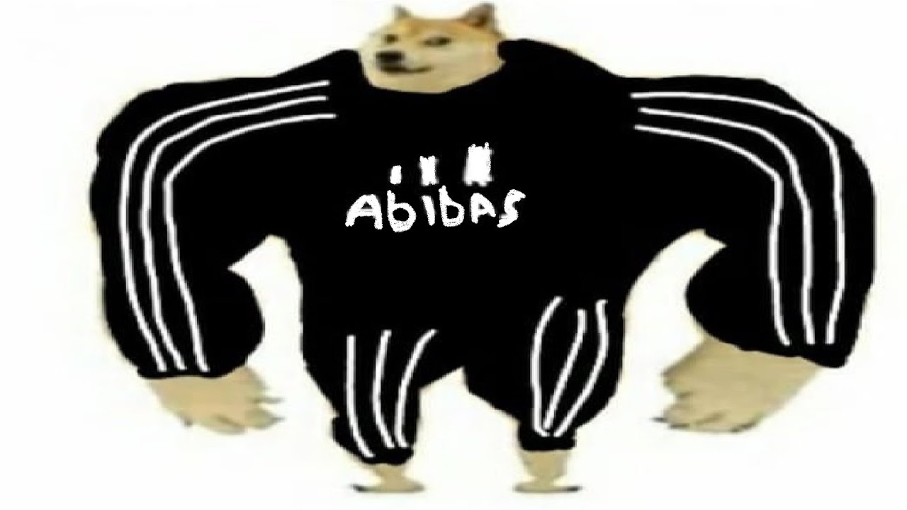 будни адидаса
