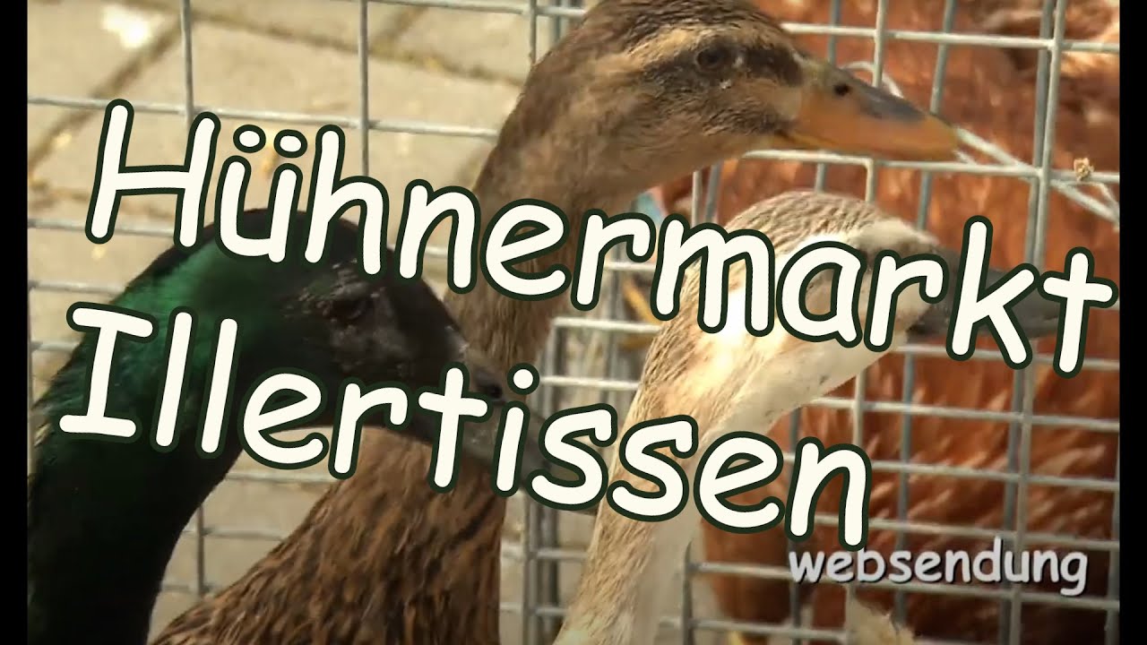 Hühnermarkt Illertissen