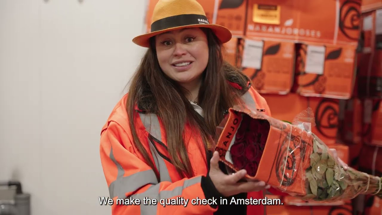 Back to love | Paris 2026