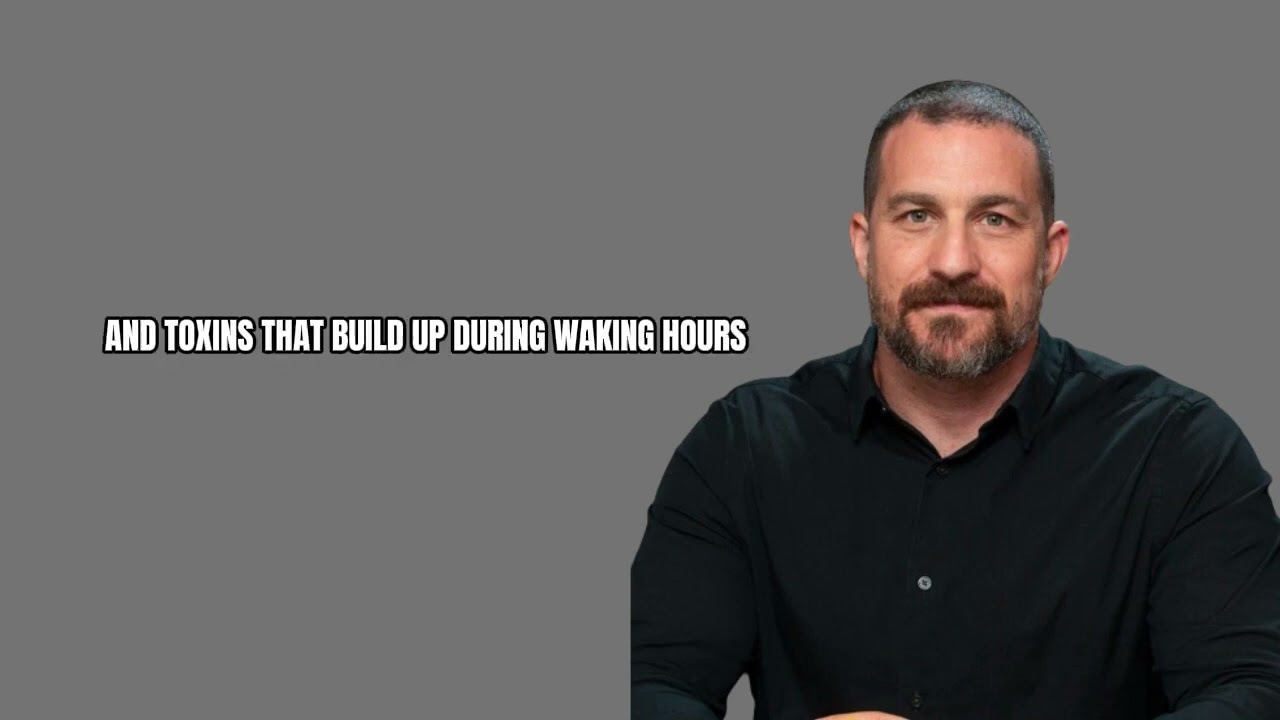 5 Things You Must Work On Every Day   Dr  Andrew Huberman Best Speech
