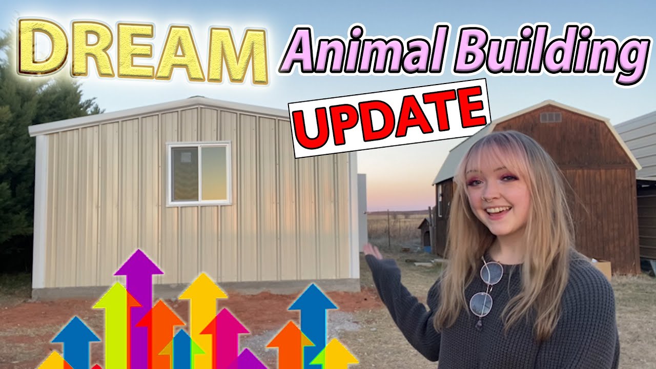 DREAM Animal Building / Moving Progress UPDATE!