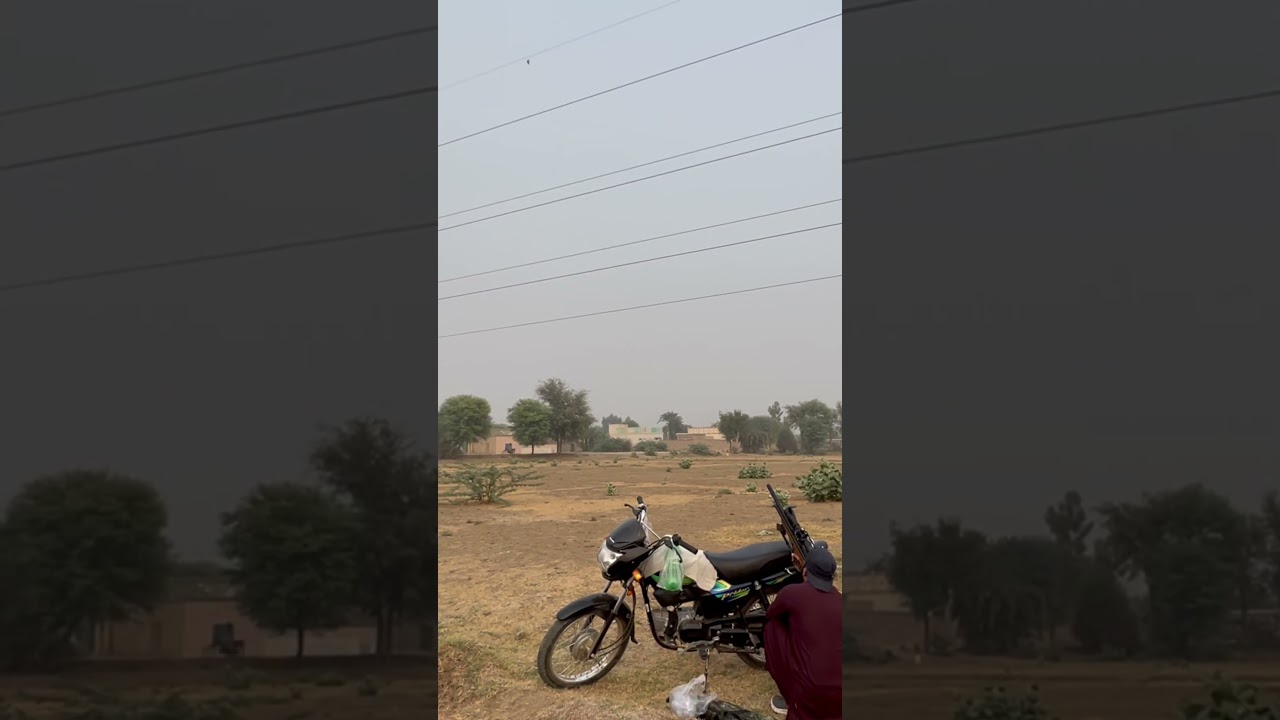 Dove Hunting in pakistan #village #airgun #hunting #shikari #shutgun #virl #trndingshorts