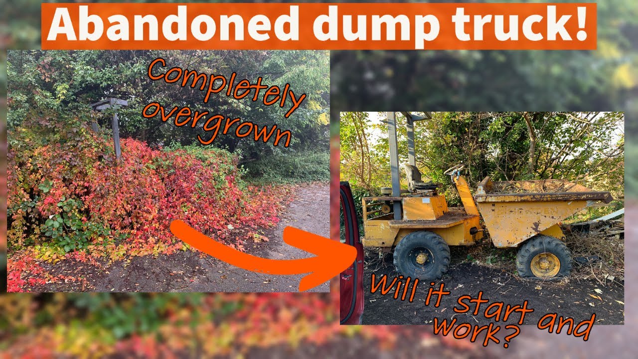 Will it start? 3 ton dumper that's turned into a bush