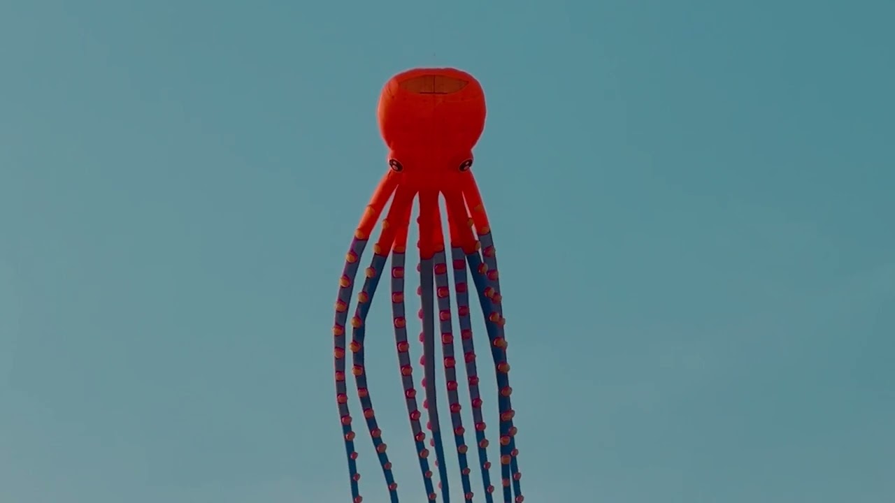 [Copyright Free Videos] - Kite Sky - Ocean Interaction